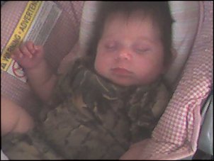 Click image for larger version

Name:	shelbycamo.jpg
Views:	519
Size:	19.3 KB
ID:	1134