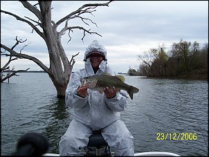 Click image for larger version

Name:	Fayette2A..jpg
Views:	705
Size:	424.2 KB
ID:	1187