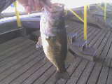 Name:  1ST2007.jpg
Views: 200
Size:  3.3 KB