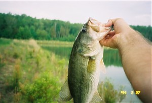 Click image for larger version

Name:	fish2.jpg
Views:	421
Size:	164.8 KB
ID:	124