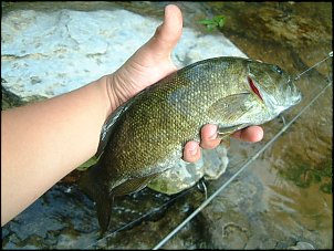 Click image for larger version

Name:	Fishing (95).jpg
Views:	582
Size:	64.3 KB
ID:	1251