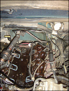 Click image for larger version

Name:	DSC00169.GIF
Views:	666
Size:	272.3 KB
ID:	1257