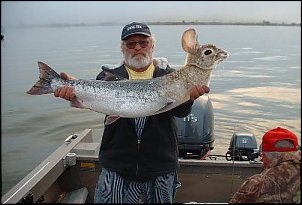 Click image for larger version

Name:	hare.jpg
Views:	756
Size:	45.8 KB
ID:	1345