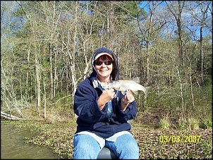 Click image for larger version

Name:	L2A.jpg
Views:	605
Size:	53.4 KB
ID:	1472