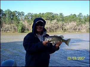 Click image for larger version

Name:	L5A.jpg
Views:	609
Size:	32.1 KB
ID:	1475