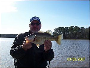Click image for larger version

Name:	S1A.jpg
Views:	591
Size:	21.6 KB
ID:	1477