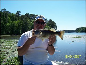 Click image for larger version

Name:	MF2.jpg
Views:	601
Size:	30.3 KB
ID:	1612