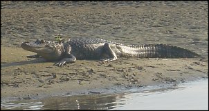 Click image for larger version

Name:	2.JPG
Views:	1609
Size:	70.1 KB
ID:	1638
