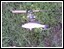 Name:  basss.jpg
Views: 828
Size:  21.1 KB
