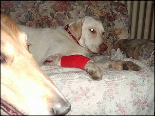Click image for larger version

Name:	Hudson7.jpg
Views:	454
Size:	133.3 KB
ID:	1776