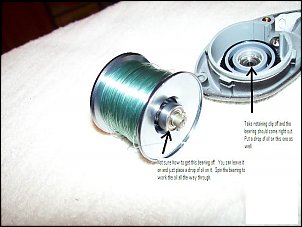 Click image for larger version

Name:	100_1862.JPG
Views:	890
Size:	59.6 KB
ID:	1902