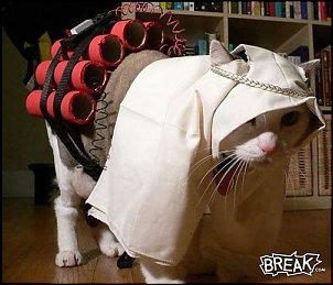 Click image for larger version

Name:	18jan9-suicide-kitty.jpg
Views:	378
Size:	51.7 KB
ID:	1914