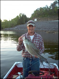 Click image for larger version

Name:	Picture 200.jpg
Views:	1323
Size:	75.5 KB
ID:	2089