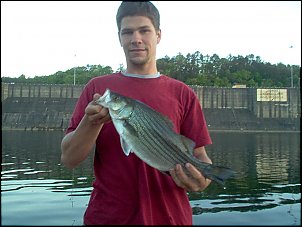 Click image for larger version

Name:	Picture 202.jpg
Views:	1319
Size:	62.0 KB
ID:	2090