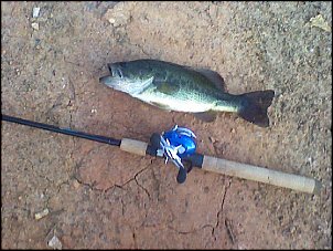 Click image for larger version

Name:	baitcaster1.jpg
Views:	530
Size:	100.4 KB
ID:	2093
