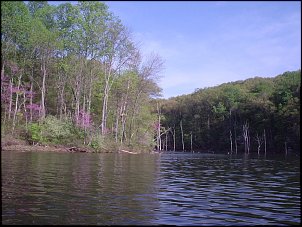 Click image for larger version

Name:	brookville1.JPG
Views:	515
Size:	286.4 KB
ID:	2156
