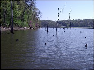 Click image for larger version

Name:	brookville3.JPG
Views:	529
Size:	253.6 KB
ID:	2157