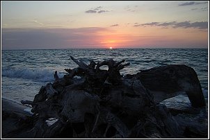 Click image for larger version

Name:	fla.jpg
Views:	453
Size:	37.4 KB
ID:	2309
