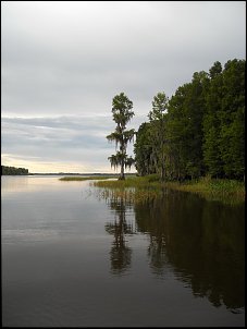 Click image for larger version

Name:	b.JPG
Views:	567
Size:	125.8 KB
ID:	2409