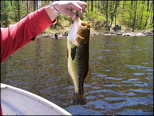 Click image for larger version

Name:	606908780505_0_BG.jpg
Views:	994
Size:	87.5 KB
ID:	2431