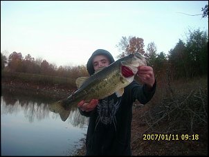 Click image for larger version

Name:	november 10th bass.jpg
Views:	395
Size:	28.7 KB
ID:	2814