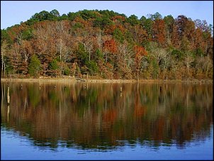 Click image for larger version

Name:	Fall-fishing-002.jpg
Views:	497
Size:	67.4 KB
ID:	2838