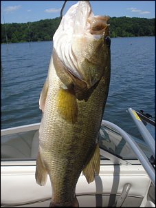 Click image for larger version

Name:	fishing 014.jpg
Views:	481
Size:	347.0 KB
ID:	2893