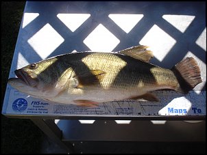 Click image for larger version

Name:	fishing 016.jpg
Views:	776
Size:	374.2 KB
ID:	2944