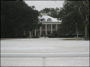 Click image for larger version

Name:	IMG_009411.jpg
Views:	322
Size:	108.9 KB
ID:	2973