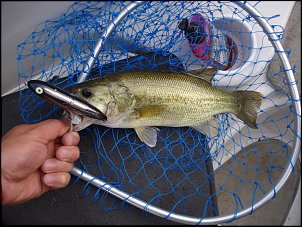Click image for larger version

Name:	fishing 029.jpg
Views:	405
Size:	499.1 KB
ID:	2982