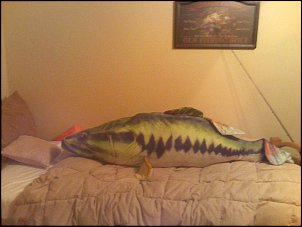 Click image for larger version

Name:	Bedding Bass.jpg
Views:	863
Size:	108.9 KB
ID:	3104