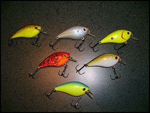 Click image for larger version

Name:	H20Cranks.jpg
Views:	586
Size:	72.0 KB
ID:	3127