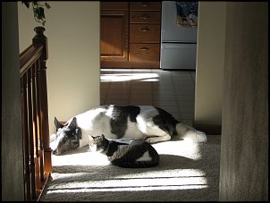 Click image for larger version

Name:	IMG_3239.jpg
Views:	372
Size:	398.3 KB
ID:	3139