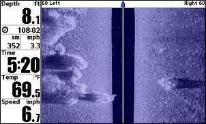 Click image for larger version

Name:	Gun Lake MI Weedline and Isolated Clumps.JPG
Views:	2121
Size:	89.4 KB
ID:	3244