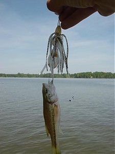 Click image for larger version

Name:	DSC03692.JPG
Views:	356
Size:	34.5 KB
ID:	328