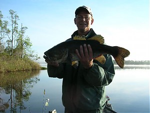 Click image for larger version

Name:	DSCN0285.jpg
Views:	1095
Size:	79.9 KB
ID:	332