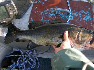 Click image for larger version

Name:	DSCN0286.jpg
Views:	1019
Size:	67.1 KB
ID:	334