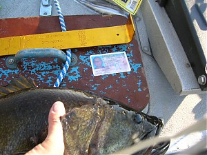 Click image for larger version

Name:	DSCN0290.jpg
Views:	995
Size:	91.2 KB
ID:	336