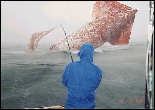 Click image for larger version

Name:	funny-fishing.jpg
Views:	433
Size:	16.3 KB
ID:	3463