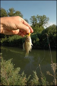 Click image for larger version

Name:	rockbassw.JPG
Views:	418
Size:	35.3 KB
ID:	3467