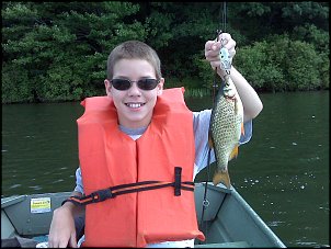 Click image for larger version

Name:	Golden Shiner.jpg
Views:	515
Size:	322.0 KB
ID:	3479