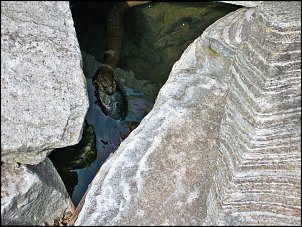 Click image for larger version

Name:	snake bluegill.jpg
Views:	955
Size:	577.6 KB
ID:	3543