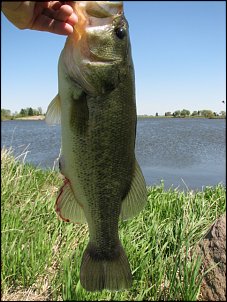 Click image for larger version

Name:	IMG_3466.JPG
Views:	1680
Size:	136.9 KB
ID:	3573