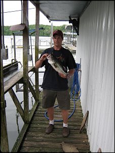 Click image for larger version

Name:	Picture 047.jpg
Views:	512
Size:	90.4 KB
ID:	3597