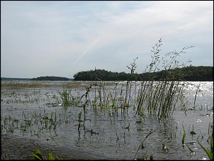 Click image for larger version

Name:	Picture 050.jpg
Views:	479
Size:	92.5 KB
ID:	3598