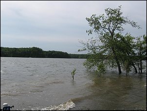 Click image for larger version

Name:	Picture 052.jpg
Views:	488
Size:	86.6 KB
ID:	3599