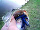 Name:  0530092020.jpg
Views: 544
Size:  5.3 KB