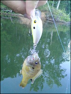 Click image for larger version

Name:	Monster.jpg
Views:	679
Size:	36.6 KB
ID:	3820