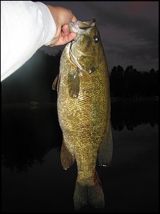 Click image for larger version

Name:	IMG_3883.jpg
Views:	774
Size:	459.8 KB
ID:	3832