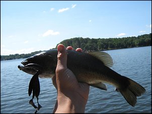Click image for larger version

Name:	7.jpg
Views:	968
Size:	57.3 KB
ID:	3920